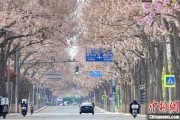 兴化共建“花园城市” 北京这场议政会“百花齐放”